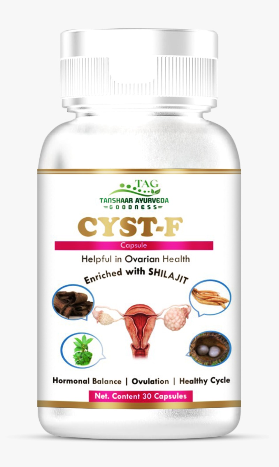 CYST-F